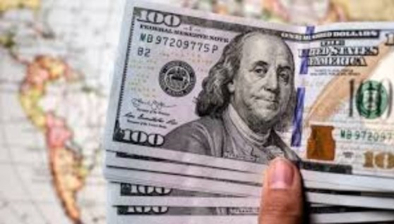 الدولار الامريكي 