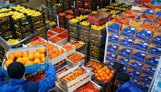  الصناعات الغذائية 