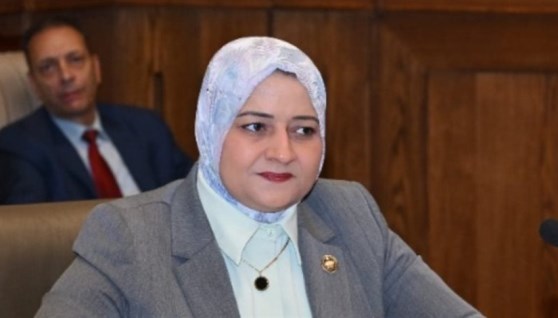  النائبة الدكتورة مروة قنصوه، عضو مجلس الشيوخ وأمين سر لجنة الطاقة والبيئة والقوى العاملة 