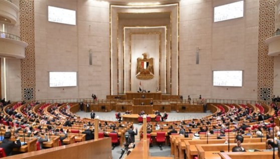 مجلس النواب