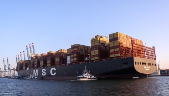 ميناء دمياط