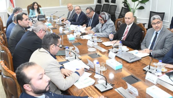  المهندسة راندة المنشاوي