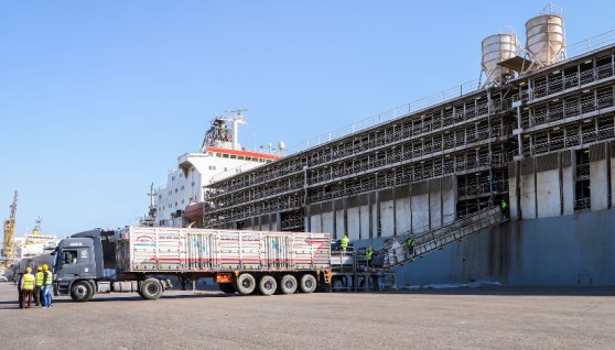  ميناء دمياط