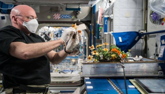  تكنولوجيا الفضاء في القطاع الزراعي