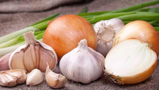 البصل والثوم