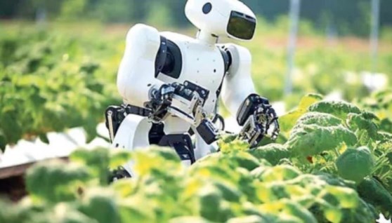 استخدام الروبوتات في مصانع الزراعة
