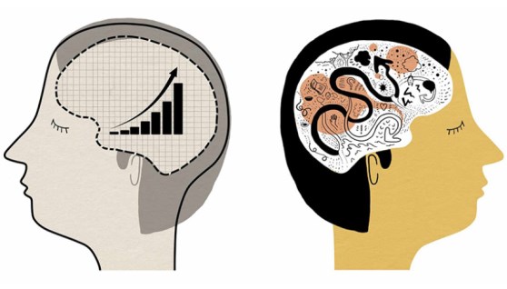 إدارة السلوك 