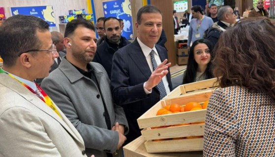 جانب من الفعاليات 