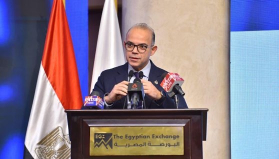 الدكتور محمد فريد - وزير الاستثمار والتجارة الخارجية