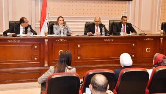 لجنة الطاقة بمجلس النواب
