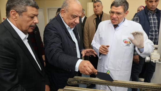 الدكتور محمود عصمت وزير الكهرباء