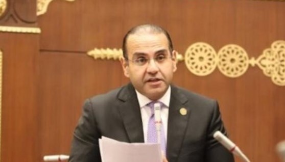 المهندس محمد المنزلاوي- عضو مجلس الشيوخ