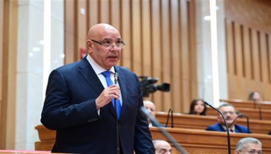 المستشار هشام بدوي