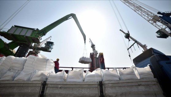 تصدير السكر