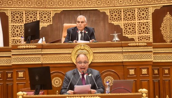 مجلس الشيوخ