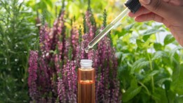 نباتات عطرية