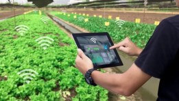 سوق إنترنت الأشياء الزراعي