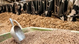 اعلاف مركبة