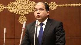 النائب عادل اللمعي، عضو مجلس النواب