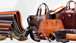 صناعة الجلود 