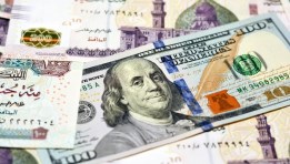 سعر الدولار 