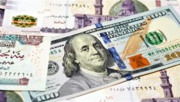 سعر الدولار 