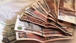 الجنيه المصري