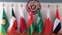 دول مجلس التعاون الخليجي