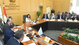  المهندسة راندة المنشاوي