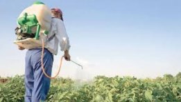 المبيدات المغشوشة 