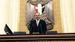 النائب عبدالله لاشين