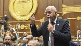 المهندس حازم الجندي عضو مجلس الشيوخ