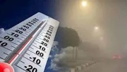 التذبذب الحراري