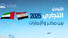 التبادل التجاري بين مصر والإمارات