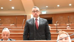 النائب محمد فؤاد