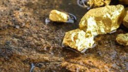 مزايدة عالمية للتنقيب عن الذهب