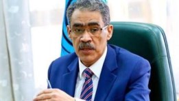 الدكتور ضياء رشوان - وزير الإعلام 