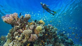 السياحة في مصر 