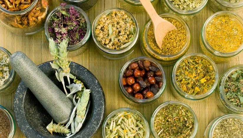 نباتات عطرية وطبية