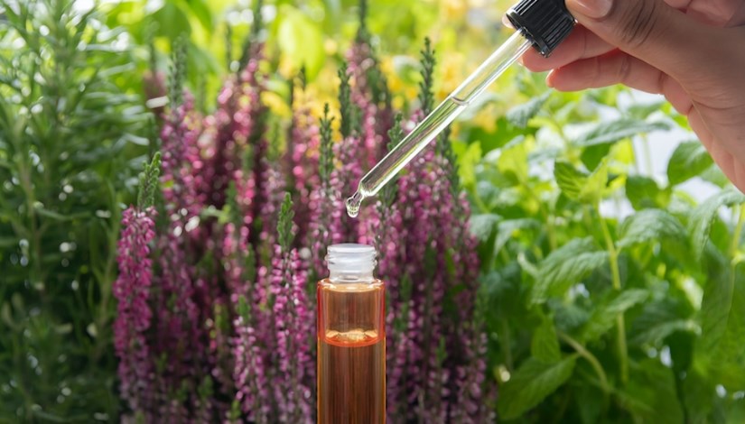 نباتات عطرية