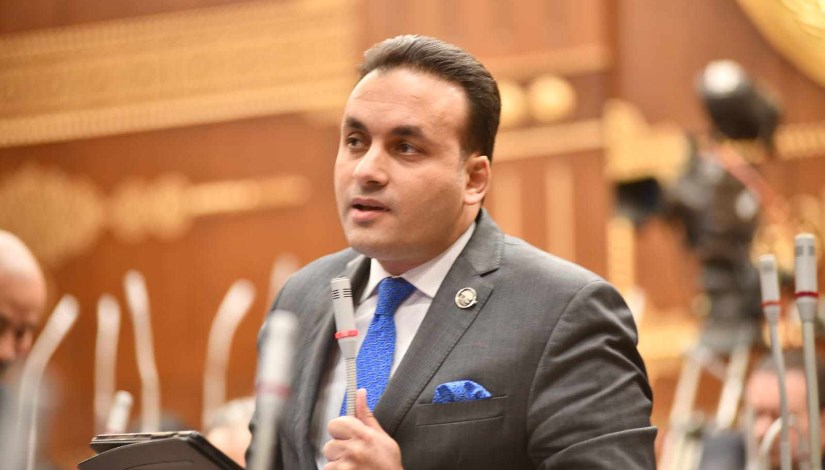 النائب عمرو فهمي