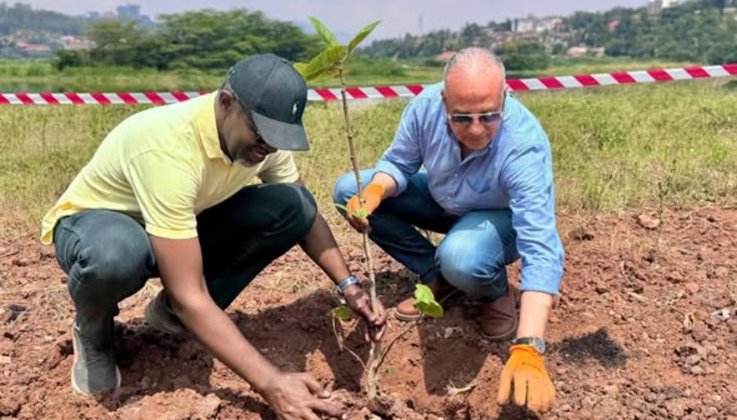 جانب من العمل