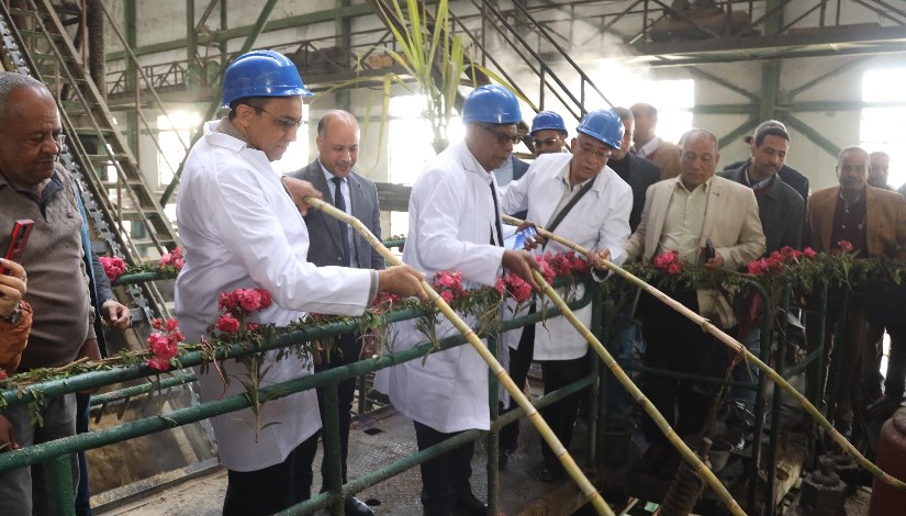 مصنع سكر دشنا 