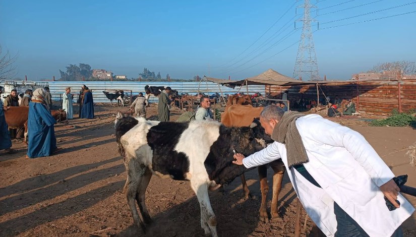 جانب من التحصين