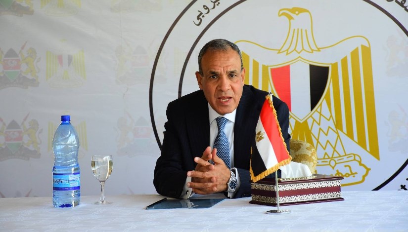 الدكتور بدر عبد العاطي وزير الخارجية