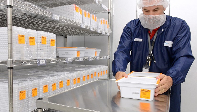 التخزين البارد الأدوية