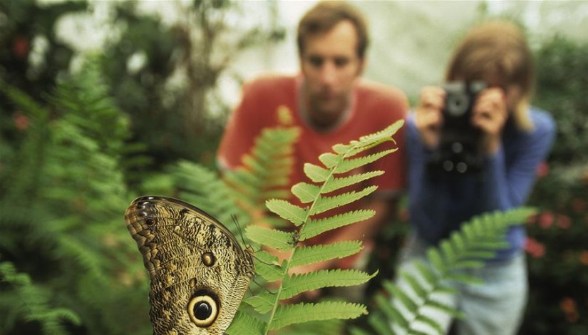 السياحة البيئية