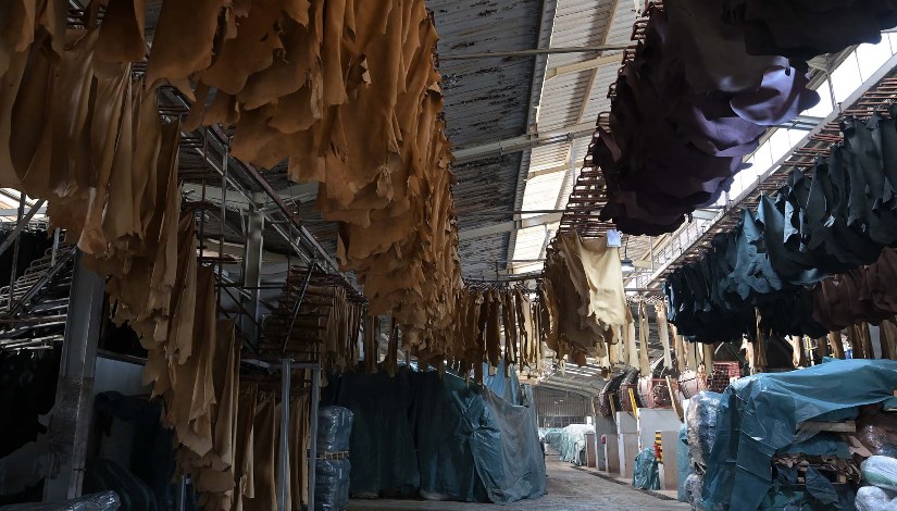 الجلود أرشيفية