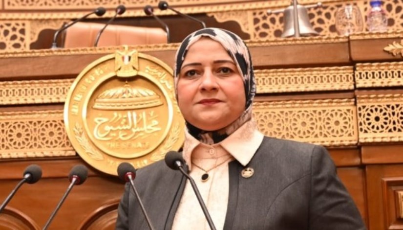  النائبة الدكتورة مروة قنصوه، عضو مجلس الشيوخ وأمين سر لجنة الطاقة والبيئة،