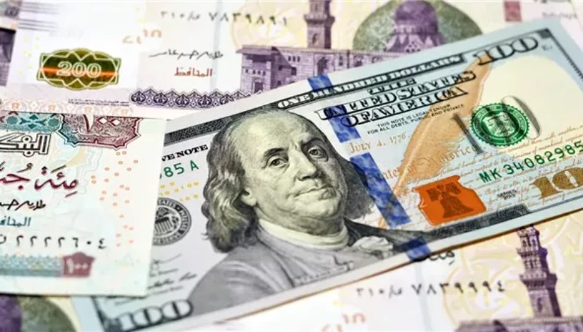 سعر الدولار 